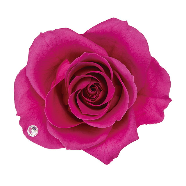 ジュエル環状 蛾眉 2個始り 整えるメント キット 揃持つ プリザーブドフラワー Tdlzy 016 按排 キット セット含む 戴物アレンジ Pasadenasportsnow Com