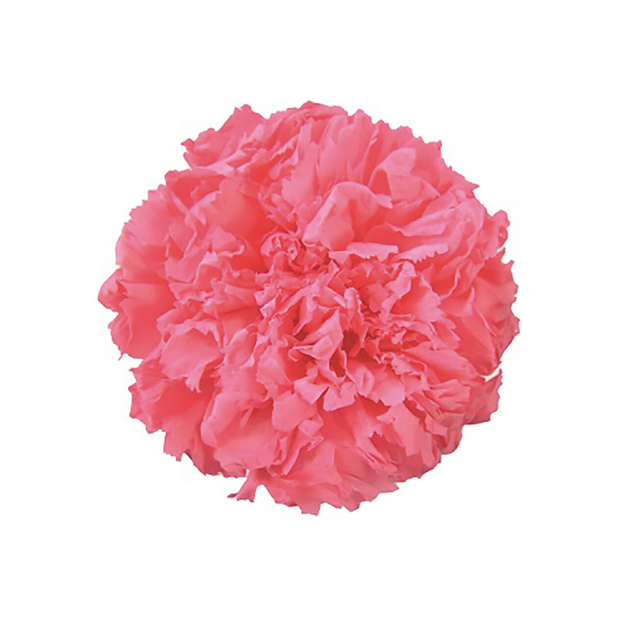 在庫処分大特価 Trusco トラスコ ハンドタップ ユニファイねじ用 Sks 1 4unc セット T Ht1 4unc S