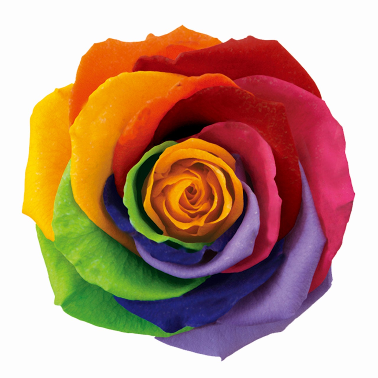 ティエラトレス セブンラック プリザーブドフラワー 3輪入 ローズ バラ [TDLDD001102-077] 薔薇 プレゼント 庭 造花 アレンジメントフラワー 人工観葉植物 ガーデニング用品 プリザーブド加工 花 ガーデニング フラワーギフト 送料無料