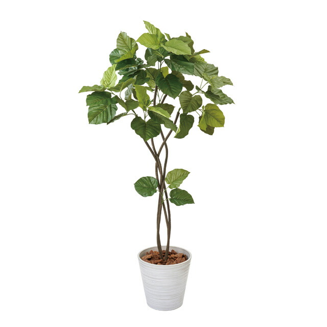 ウンベラータツイスト5Fアーティフィシャルフラワー造花インテリアグリーン観葉植物フェイクグリーン【大型便】[TDLMG0F5226]【人工観葉植物・インテリアフラワー フラワーギフト ディスプレイ オブジェ 装飾 】 30,566円