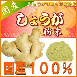 生姜粉末2