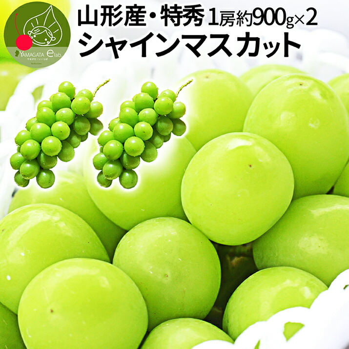  シャインマスカット 2房入り （約900g前後&times;2房） 山形県産 特秀 大粒 超特大 産地直送 山形県から産地直送 種無し 大粒 同梱不可熨斗ＯＫ 送料無料 果物　キャッシュレス還元