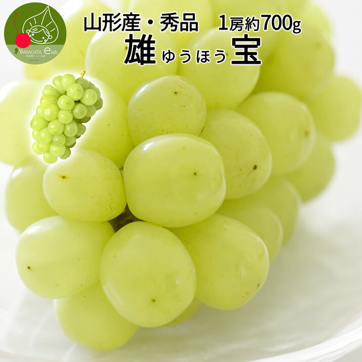 【9月下旬発送・先行早割】 山形県産 ぶどう 雄宝 1房 (約700g) <br> 秀品 大粒 果物 化粧箱入 産地直送 山形県産 お年賀 ギフト 同梱不可 熨斗ＯＫ 送料無料  誕生日