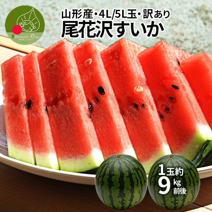 【7月下旬頃より発送・先行予約】 すいか 訳あり 2玉セット 4L 5L（約9kg前後）<br>山形県産 お徳用 ワケあり ワケ待ち 産地直送 キャンプに 海水浴に すいか割りに ブランド <BR> 送料無料 同梱不可 日時指定不可 夏 暑さ対策 食べ物