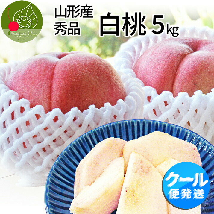 【8月中旬発送・先行早割】山形県産 白桃 5ｋｇ（16玉~18玉前後）<br>産地直送の桃 贈答用の桃 大玉の桃 美味しい桃 お盆 帰省に桃 お彼岸の桃 川中島白桃【同梱不可】【日時指定不可】 送料無料 果物 内祝い フルーツ クール便
