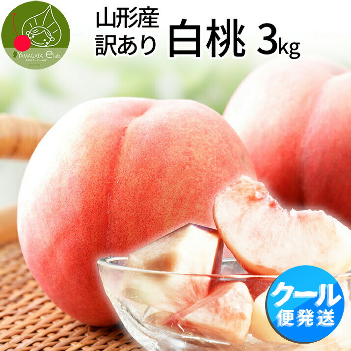若桃　硬い　１１キロ　でかい 楽天市場】【8月中旬発送・先行早割】 白桃 訳あり 山形県産 2kg