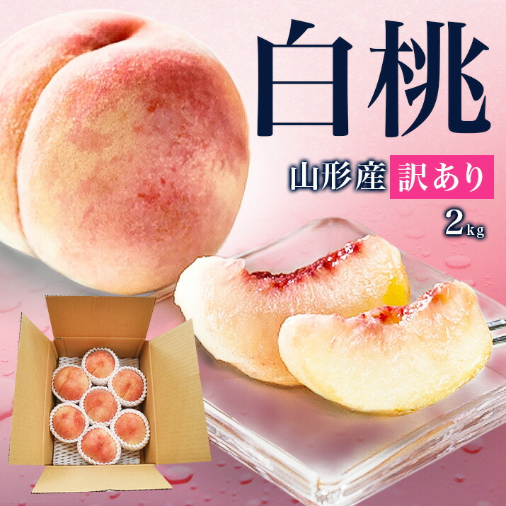 楽天市場】【2026年8月上旬発送 先行早割】山形県産 白桃 5kg（約18玉