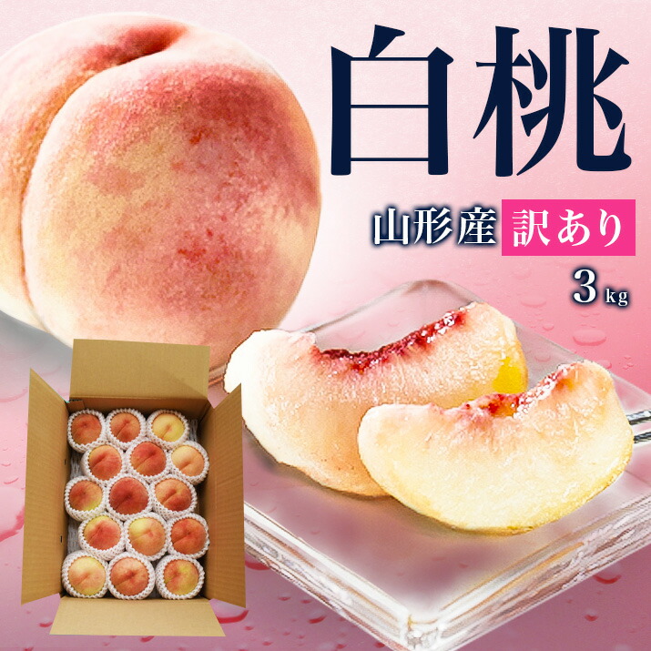 楽天市場】【2026年8月上旬発送 先行早割】山形県産 白桃 5kg（約18玉