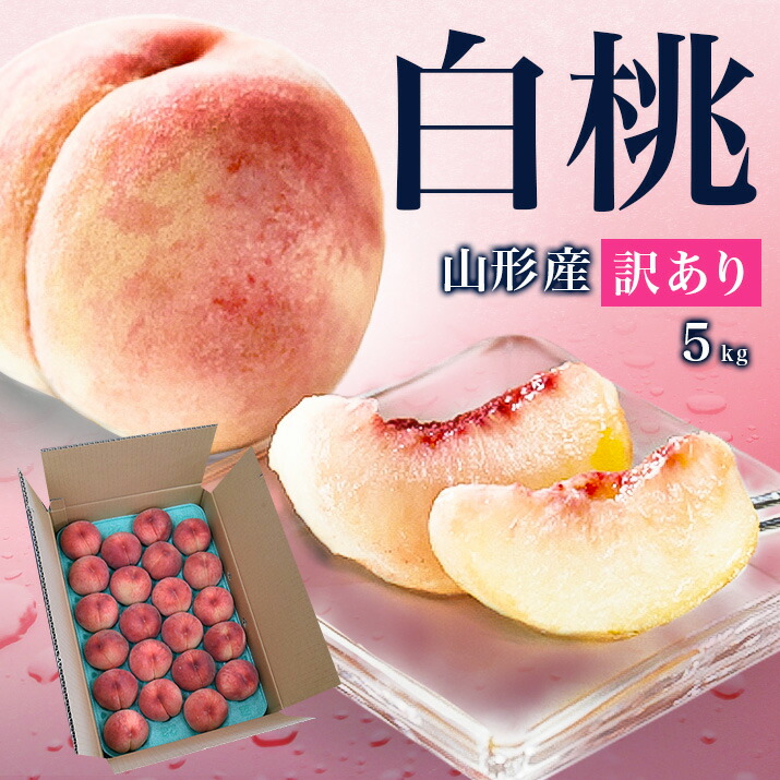 楽天市場】【2026年8月上旬発送 先行早割】山形県産 白桃 5kg（約18玉