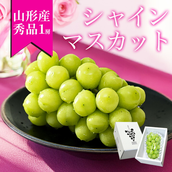 楽天市場】【エントリーでポイント10倍】予約販売9月8日より発送