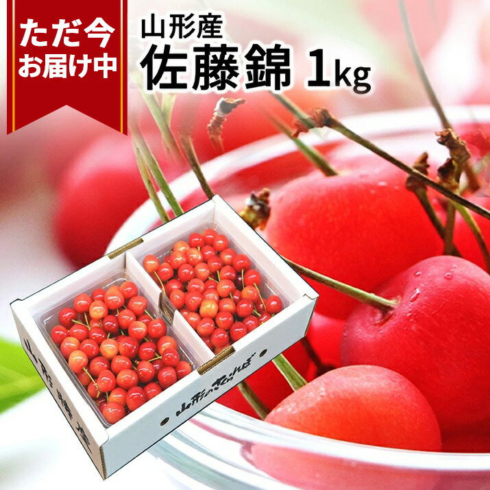 2019-02-ns-sk101t.jpg 2019-02-ns-sk101t.jpg