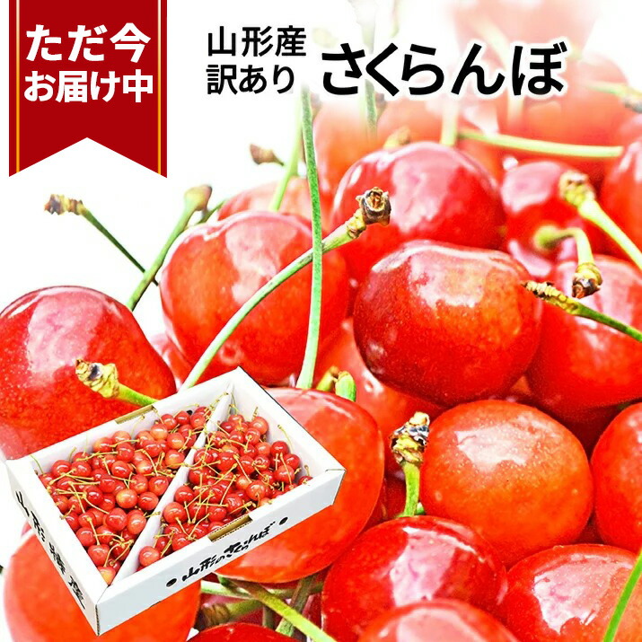 楽天市場】＼只今、お届け中！／ さくらんぼ 紅秀峰 ２Ｌ 秀品 700g 