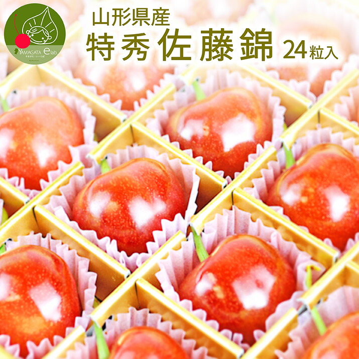 ＼父の日 ギフト さくらんぼ 佐藤錦 特秀 Ｌ玉 24粒入 化粧箱入 産地直送 あす楽 ディスカウント 手詰め 内祝い 送料無料 フルーツギフト 思い出に残る 加温 同梱不可 即出荷
