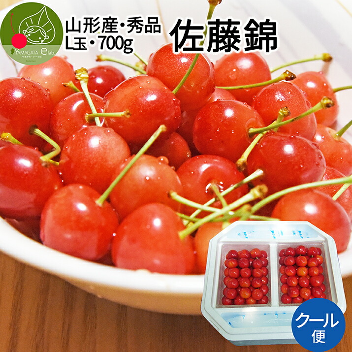 【6月中旬発送 先行早割】 さくらんぼ 佐藤錦 秀品 Ｌ玉 700g入（350g×2）<br>ギフト 発泡ギフト 保冷剤入り 山形県 東根市から産地直送 大粒Ｌサイズ以上 同梱不可 日時指定不可 送料無料 クール便発送
