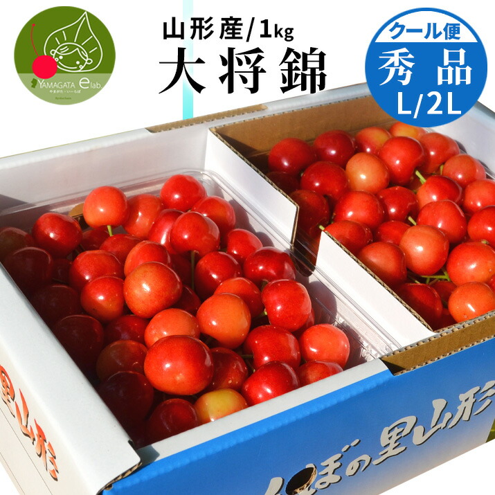 【2026年6月下旬発送 先行早割】さくらんぼ 大将錦 秀品 1kg(500g×2) 産地直送・鮮度が命 さくらんぼ 紅秀峰 大将錦 は当店にお任せください 化粧箱入 ギフト 贈答品として人気です 送料無料 内祝い
