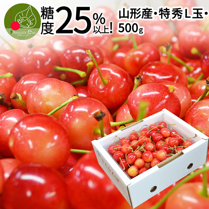 【6月中旬発送・先行早割】 山形県産 さくらんぼ　糖度25%以上 特秀 Ｌ玉 バラ詰め 500g <BR>大粒 山形県産 産地直送 化粧箱入 お中元 御中元 プレゼント 手詰め 厳選 特秀 送料無料 果物 フルーツギフト