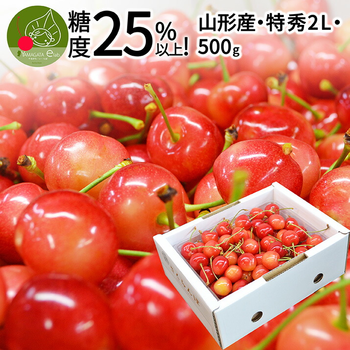 【6月中旬発送・先行早割】 山形県産 さくらんぼ　糖度25%以上 特秀 2L玉 バラ詰め 500g <BR>大粒 山形県産 産地直送 化粧箱入 お中元 御中元 プレゼント 手詰め 厳選 特秀 送料無料 果物 フルーツギフト