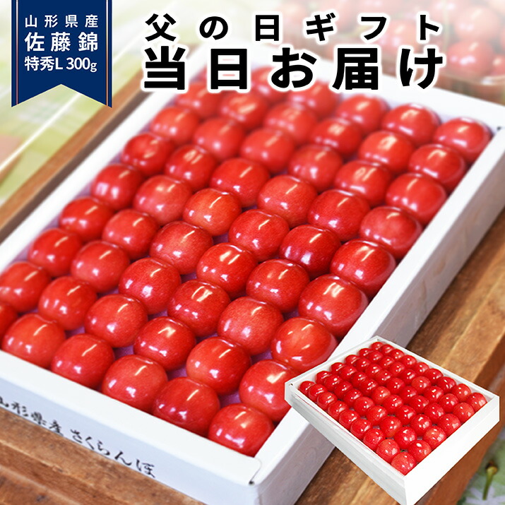 ＼父の日 ギフト 今なら当日お届けOK!／ さくらんぼ 佐藤錦 特秀 Ｌ玉 鏡詰め 300g <br>山形県から産地直送 化粧箱入 プレゼント 産地直送 手詰め メッセージカード付き 花以外ならコレ 送料無料 果物 フルーツギフト加温 内祝い