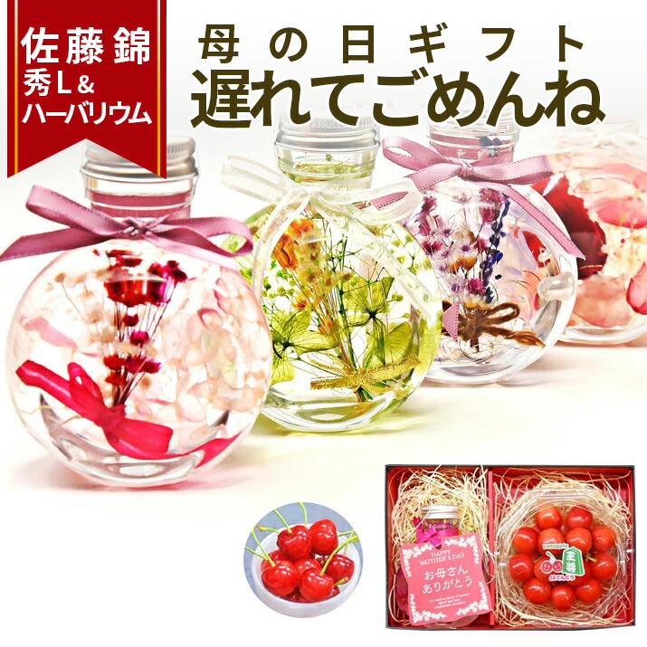 ＼遅れてごめんね 母の日 ギフト／ ハーバリウム ＆ さくらんぼ 佐藤錦 秀品 Ｌ玉 ギフトセット <br> 送料無料  ギフトカード 花束 カーネーション バラ 枯れない花 フルーツギフト