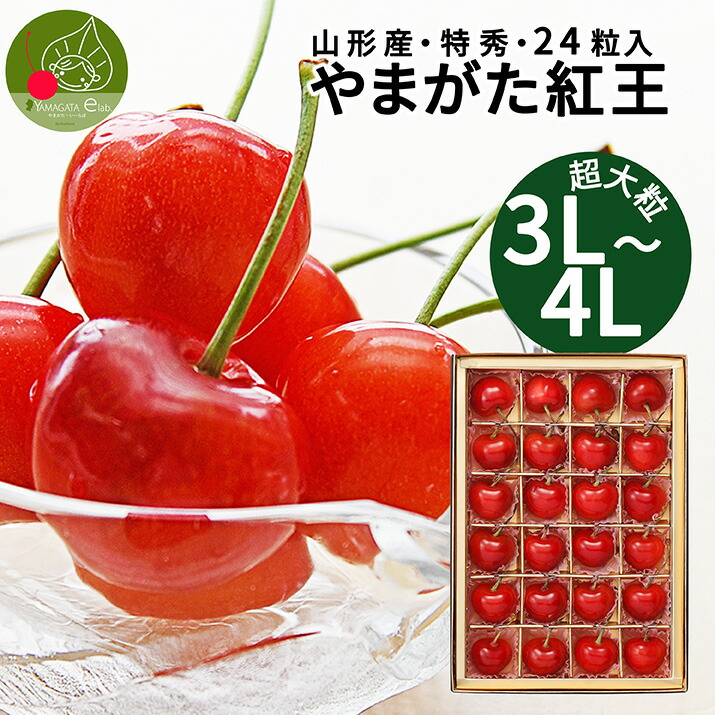 【2025年6月下旬発送】 山形県産 紅王 特秀 3L・4L 24粒入 ギフト箱入り 化粧箱入 産地直送 手詰め 思い出に残る 送料無料 同梱不可 フルーツギフト 果物 お中元