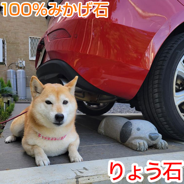 置くだけ簡単車止めから、「ミドルタイプ犬」グレー色のみモニター販売