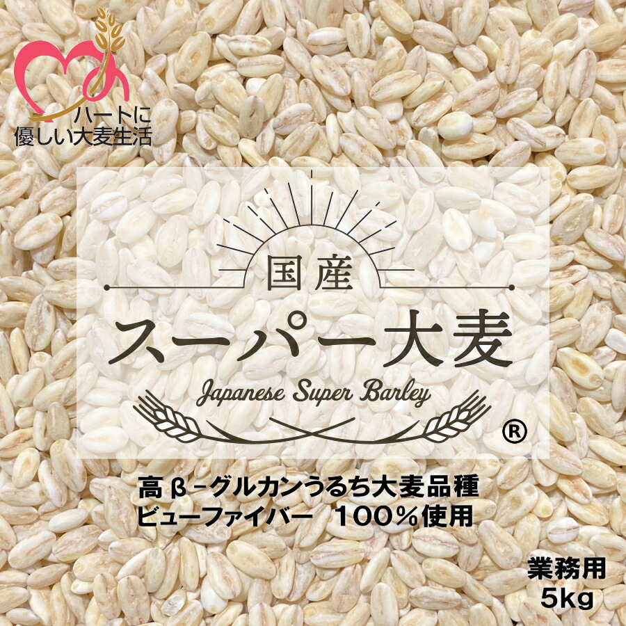 国産スーパー大麦 ビューファイバー 100%  5kg 業務用 愛知県産 高β-グルカン大麦品種 【 送料無料 】 β-グルカン値 10.44g～12.3g/100g中