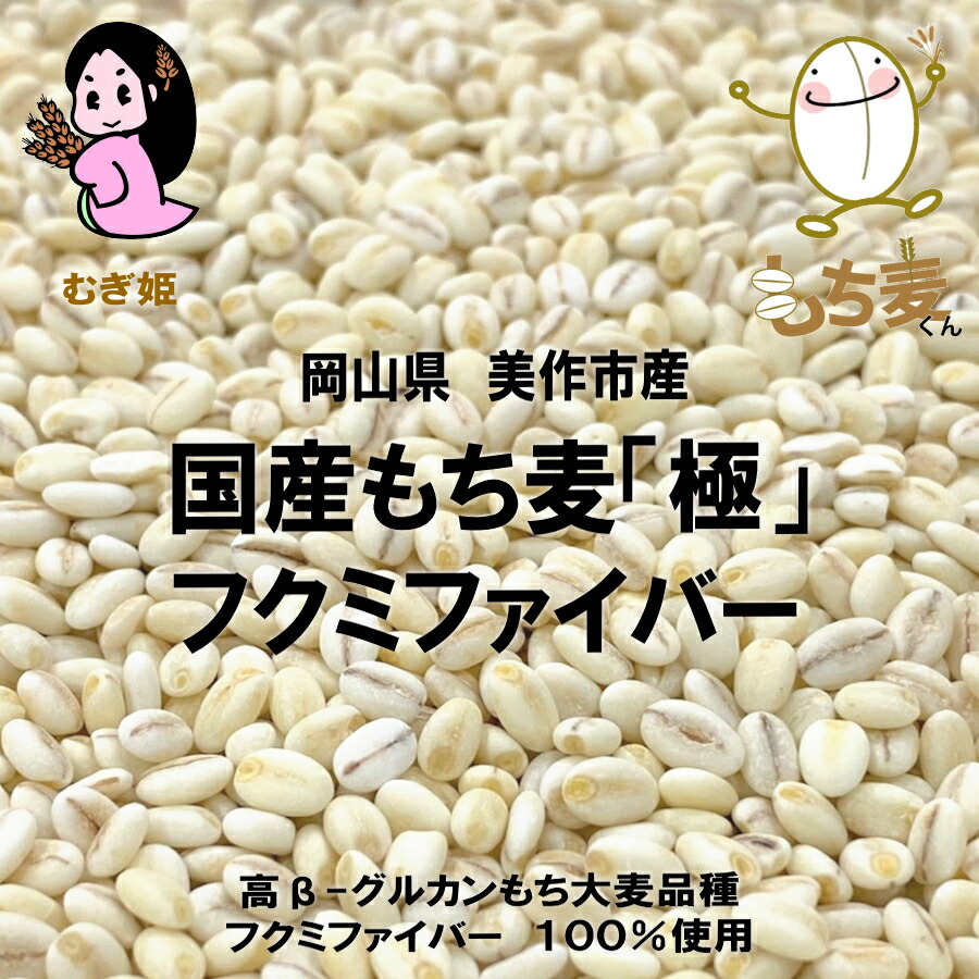 国産もち麦 「極」 岡山県 美作市産 フクミファイバー 業務用 5kg  【 産地限定 】高β-グルカンもち性大麦品種 フクミファイバー 100% β-グルカン値 13.8g/100g中 / 精麦工場直送 大麦 もち麦 雑穀 腸活