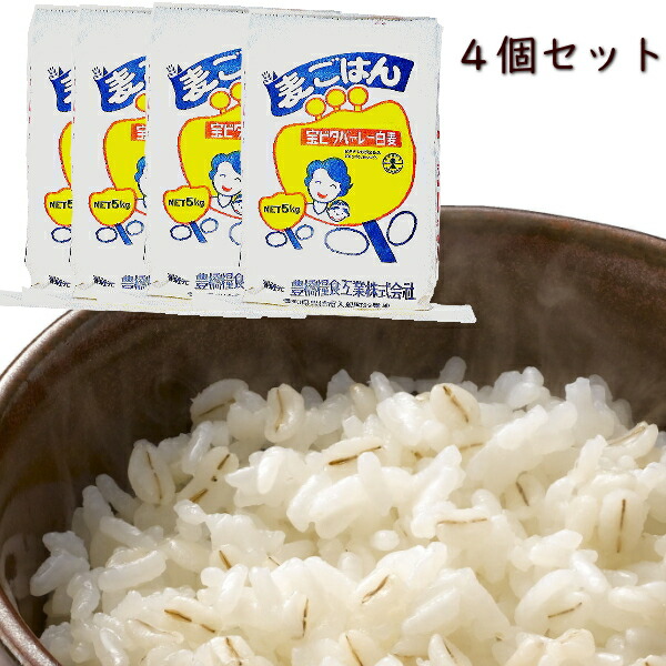 宝ビタバァレー（ビタバレー） 5kg 4個セット【業務用】国内産100%<BR> 麦ごはん