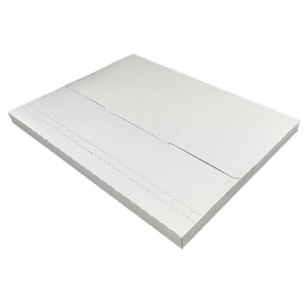 電子メール便専用入れもの B5大きさ 200枚入【EMS-BOX-B5】(高31.2コマーシャル 幅22.8コマーシャル 厚2.5コマーシャル)厚地の外套どんぶり鉢約450g/2乗米宅配袋 荷拵え 袋 宅配袋用 ボール紙状ぶくろ 超朦々たる 送りとどける 荷拵え 宅配便宅急便競り売買積貨委託貨物通信販売小型段ボール箱差し上げ物ボックス席荷拵えケースラッピング材白いこと荷拵え原材料