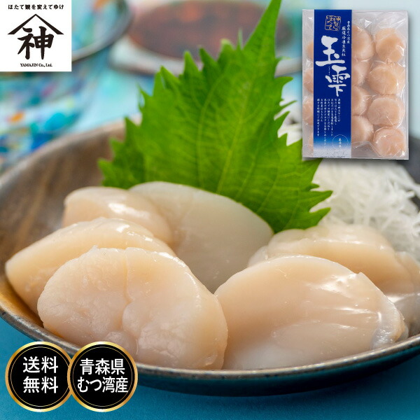 【数量限定】青森県 むつ湾産 冷凍ほたて貝柱「玉雫」300g【送料無料】ホタテ 帆立 刺身用 生食 陸奥湾産 たましずく