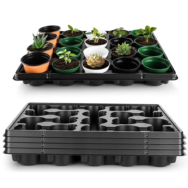 楽天市場】育苗トレー 5個セット、2.5号鉢対応 20セルトレイ、 園芸