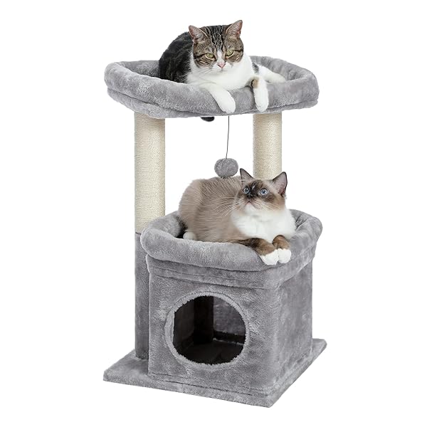 楽天市場】PAWZ Road キャットタワー ミニ 猫タワー 小型 低い