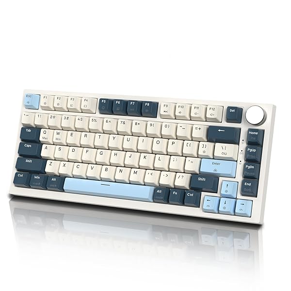 K85 75％ ラピッド銃の引き金 ゲーミングキーボード 磁気取り替えっこ ガスケットマウント ホッ放り投げる
