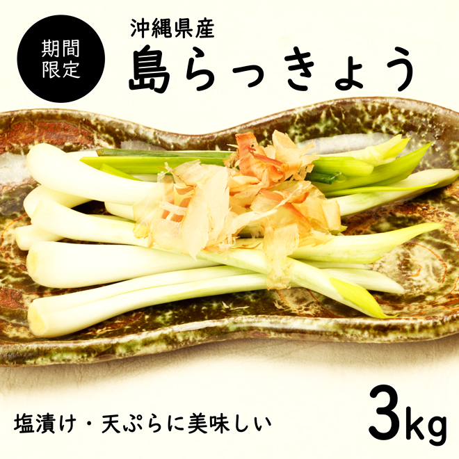 送料無料 即発送可 沖縄県産 島らっきょう3kg 土付き 食べ方説明書付き国産 ラッキョウ らっきょう 島らっきょうシャキとした歯ごたえと香りがお口の中に広がります無添加 沖縄野菜 赤土土壌の水はけが良く 沖縄の太陽 Painandsleepcenter Com