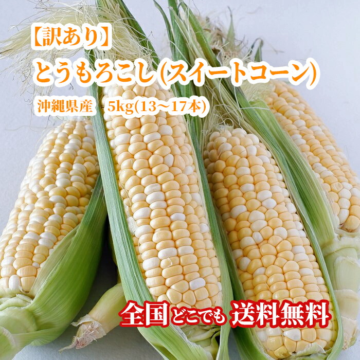 送料無料 即発送可 沖縄県産 訳あり とうもろこし スイートコーン 5kg 13 17本 国産 とうもろこし スイートコーン 保存方法冷蔵保存 産地名沖縄県内容量5k Boobarcelona Com