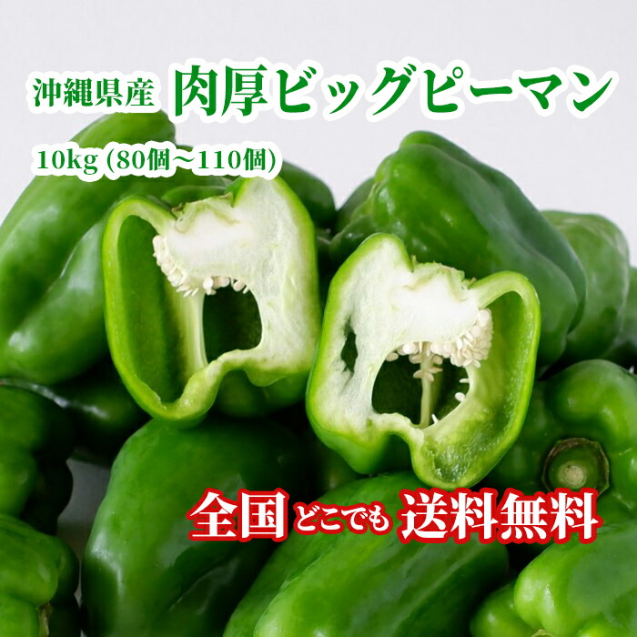 【ランク1位獲得！送料無料】沖縄県産 肉厚ビッグピーマン10kg(80個～110個) 国産 ピーマン 新鮮直送