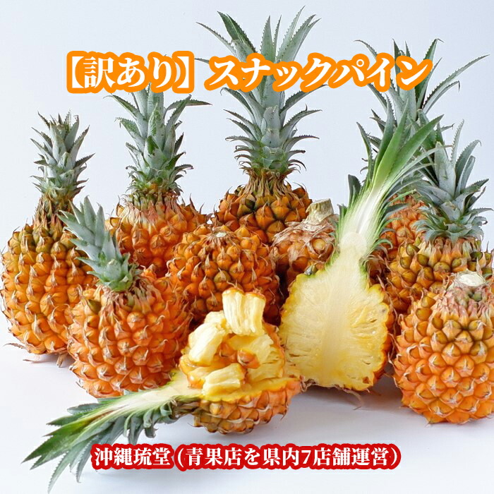 沖縄県産【訳あり】スナックパイン8kg以上(16玉～24玉)【送料無料・即発送可】<br>ちぎって食べる パイン パイナップル ボゴール種 沖縄 フルーツ
