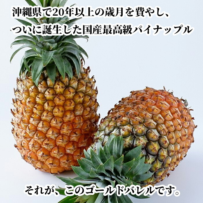 沖縄県産 訳あり ゴールドバレル 国産最高級パイナップル 3 2kg以上 2 4玉 送料無料 即出荷可 パイン パイナップル 沖縄 フルーツ Kanal9tv Com