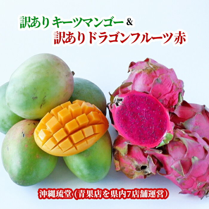 楽天市場】沖縄県産【訳あり】ドラゴンフルーツ(赤) 2～4玉(1kg以上)【送料無料・即発送可】レッドピタヤ 食物繊維が豊富 無添加 沖縄 フルーツ  : 沖縄琉堂