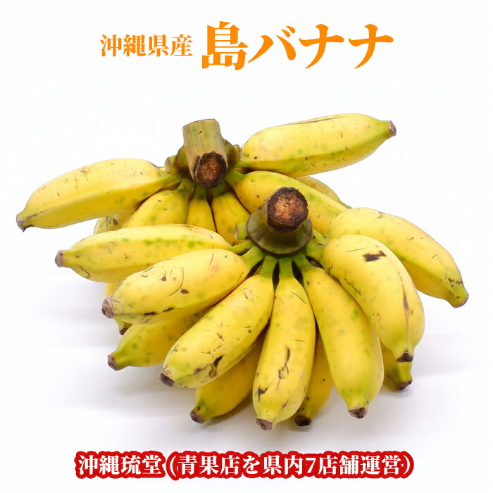 楽天市場】送料無料 石垣島産 島バナナ 2kg (約14〜35本) 沖縄