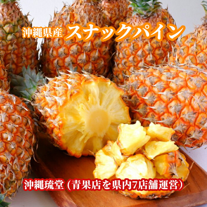 【全国送料無料】沖縄県産スナックパイン4.8kg以上(5玉～8玉)<br>ちぎって食べる パイン パイナップル ボゴール種 沖縄 フルーツ 果物 盛り合わせ お中元 お歳暮 ギフト 贈り物 父の日 母の日 出産祝 手土産 結婚祝 プチギフト