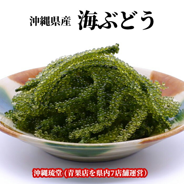【沖縄県産】生海ぶどう 茎付きたっぷり3kg ☆タレ30p付き umibudoyasan_b002