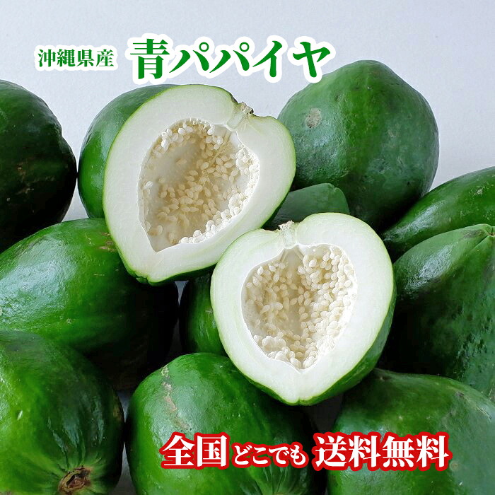 楽天市場】沖縄産 青パパイヤ (サイズ混載・約700g〜900g前後