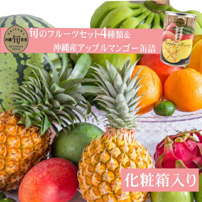送料無料 即発送可 沖縄県設置 旬のフルーツ起こす4類い 沖縄産アップルマンゴー缶詰 オーナメント秘宝 頂き物一致適当 フルーツ 果物 詰め合わせ 盛り合わせ お中元 お歳暮 到来物 ギフト お生れ落ちる時代奉呈 内祝い 熨斗 Barlo Com Br