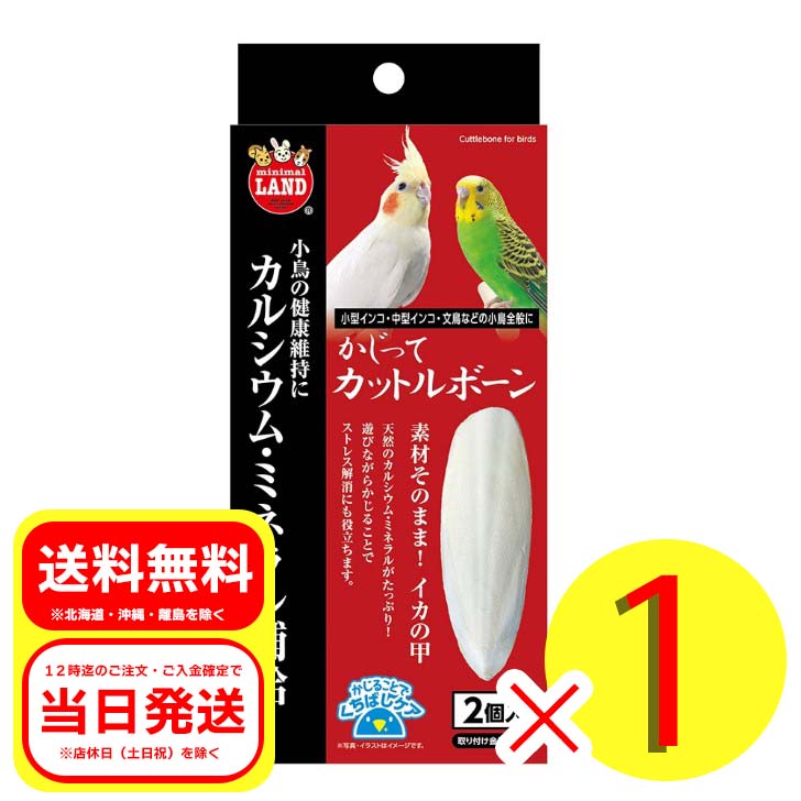 楽天市場】2個セット マルカン インコの噛むしゃら棒 骨ケア 4本入