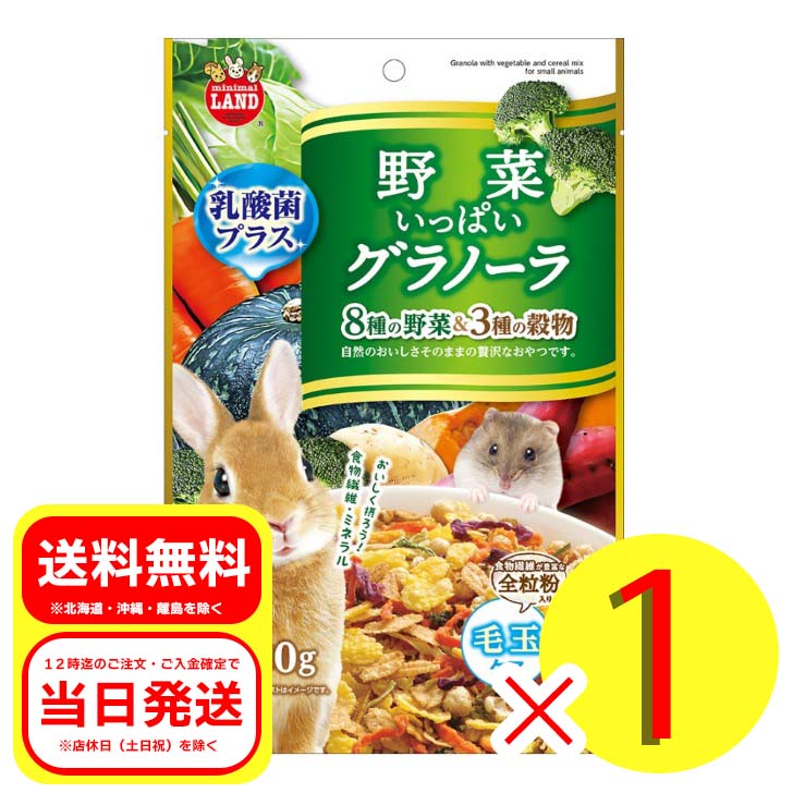 楽天市場】マルカン かじってサトウキビ 4本入 小動物用かじり木 フード おやつ ウサギ 補助食品 リス ハムスター チンチラ MR-807 :  流通ストア 楽天市場店