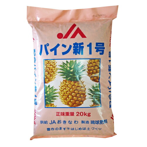 グアバ 接木　種無し大実(白)グアバ グアバ 接木 種無し大実(白)グアバ 【楽天市場】赤実グァバ苗