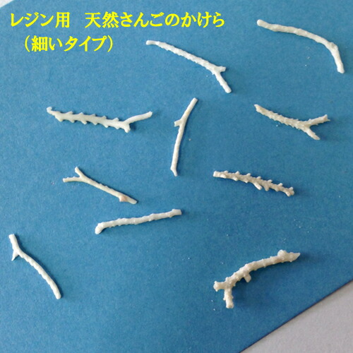 定価17万新品 天然 サンゴのかけら アクアリウム用 旧モデル その他 Rspg Spectrum Eu