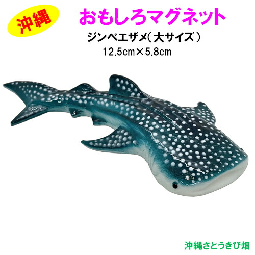 楽天市場】おもしろマグネット ジンベエザメ(ジンベイザメ) 大サイズ