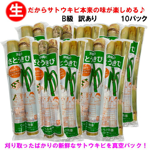【送料無料】B級訳あり 沖縄県産 生さとうきび(サトウキビ) 食用 約25cm 2～4本入り×10　　　　　|沖縄土産 ギフト プレゼント 贈り物 食育 社会科 教材 学習 イベント パーティー 自由研究 砂糖 黒糖 料理 隠し味 ジュース sugarcane